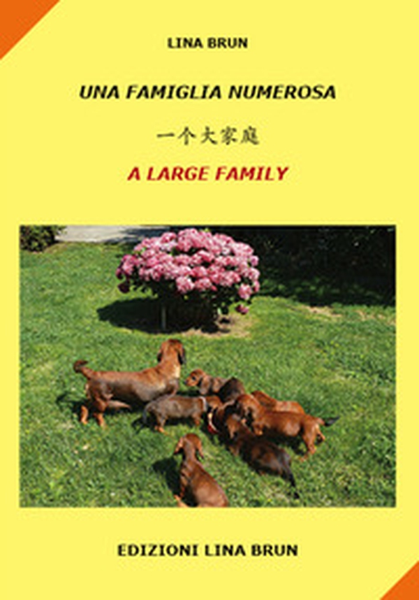 Una famiglia numerosa. Ediz. italiana, cinese e inglese - Librerie.coop Una famiglia numerosa. Ediz. italiana, cinese e inglese - Librerie.coop