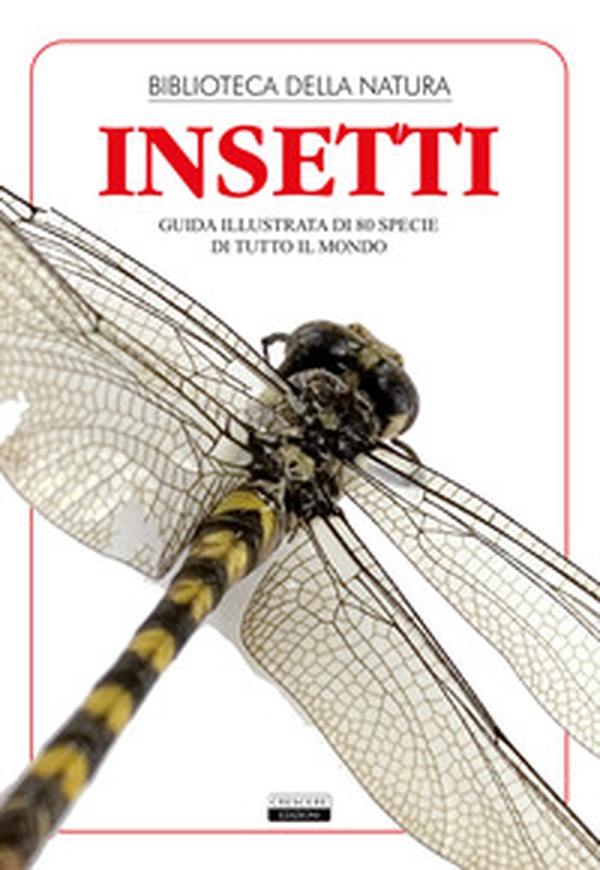 Insetti. Guida illustrata di 80 specie di tutto il mondo - Librerie.coop Insetti. Guida illustrata di 80 specie di tutto il mondo - Librerie.coop