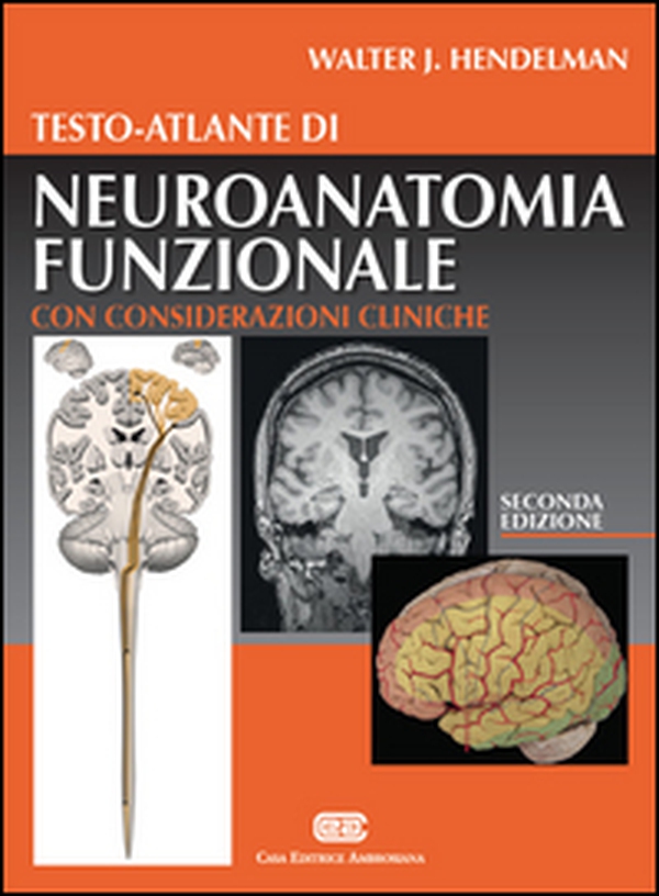 Testo-atlante di neuroanatomia funzionale. Con considerazioni cliniche - Librerie.coop Testo-atlante di neuroanatomia funzionale. Con considerazioni cliniche - Librerie.coop