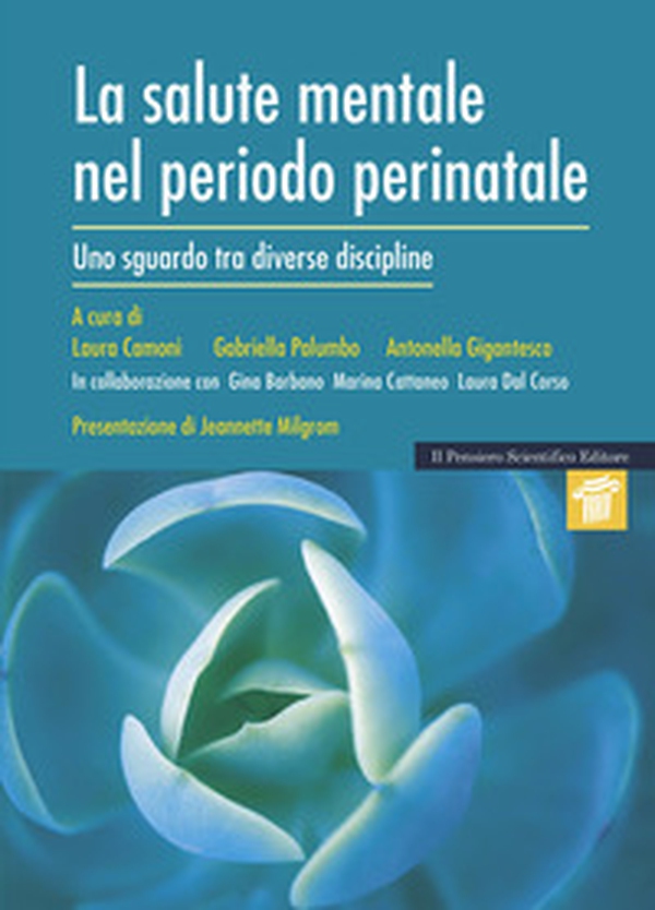 La salute mentale nel periodo perinatale. Uno sguardo tra diverse discipline - Librerie.coop La salute mentale nel periodo perinatale. Uno sguardo tra diverse discipline - Librerie.coop