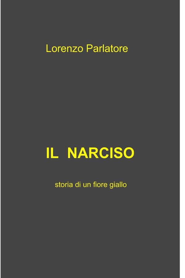 Il Narciso - Librerie.coop Il Narciso - Librerie.coop