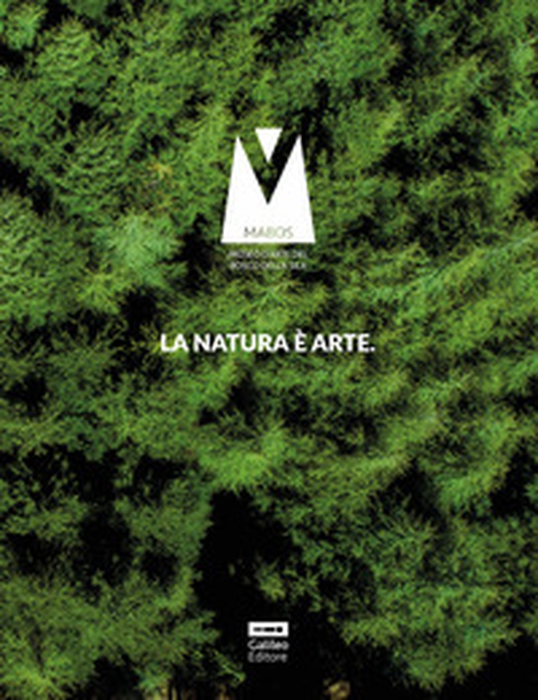 Il catalogo del Mabos. La natura è arte - Librerie.coop Il catalogo del Mabos. La natura è arte - Librerie.coop