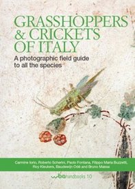 Grasshoppers and crickets of Italy. A photographic field guide to all the species - Librerie.coop