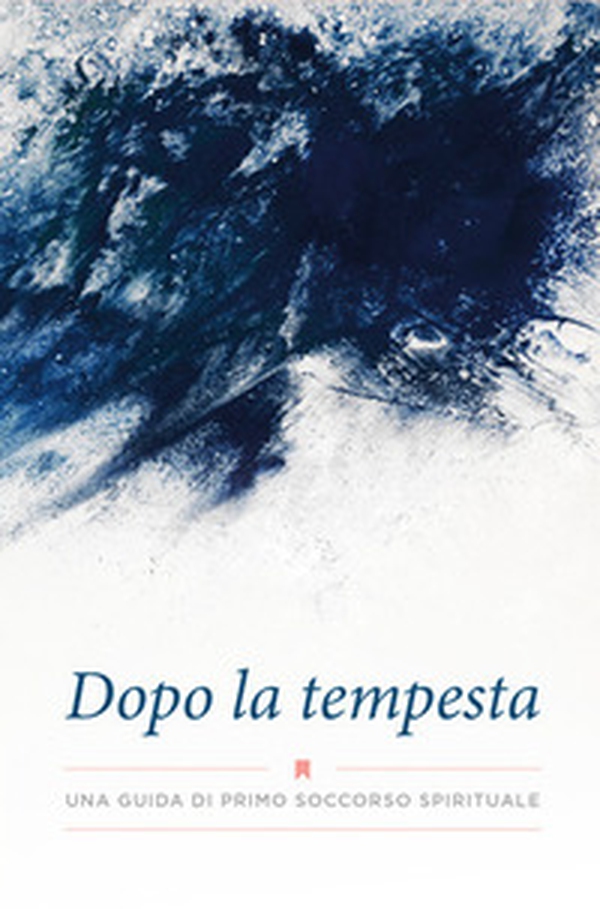 Dopo la tempesta. Una guida di primo soccorso spirituale - Librerie.coop Dopo la tempesta. Una guida di primo soccorso spirituale - Librerie.coop