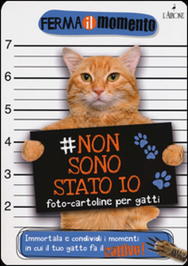 Non sono stato io. Foto-cartoline per gatti - Librerie.coop Non sono stato io. Foto-cartoline per gatti - Librerie.coop