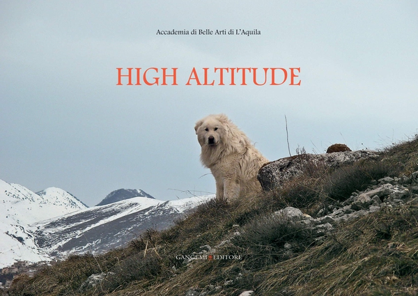 High altitude - Librerie.coop High altitude - Librerie.coop