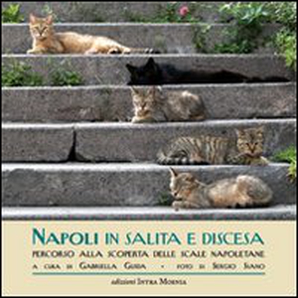 Napoli in salita e discesa. Percorso alla scoperta delle scale napoletane - Librerie.coop Napoli in salita e discesa. Percorso alla scoperta delle scale napoletane - Librerie.coop