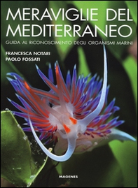 Meraviglie del Mediterraneo. Guida al riconoscimento degli organismi marini - Librerie.coop