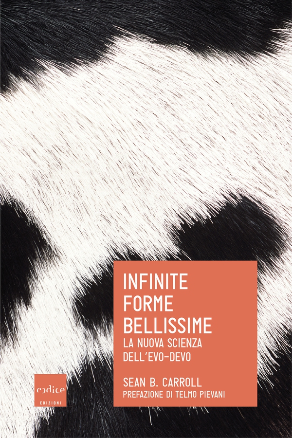 Infinite forme bellissime. La nuova scienza dell'Evo-Devo - Librerie.coop Infinite forme bellissime. La nuova scienza dell'Evo-Devo - Librerie.coop