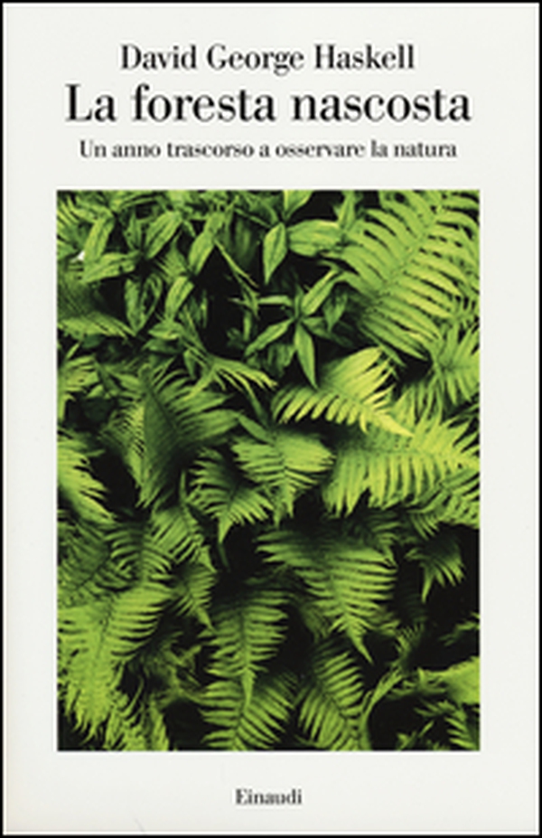 La foresta nascosta. Un anno trascorso a osservare la natura - Librerie.coop La foresta nascosta. Un anno trascorso a osservare la natura - Librerie.coop