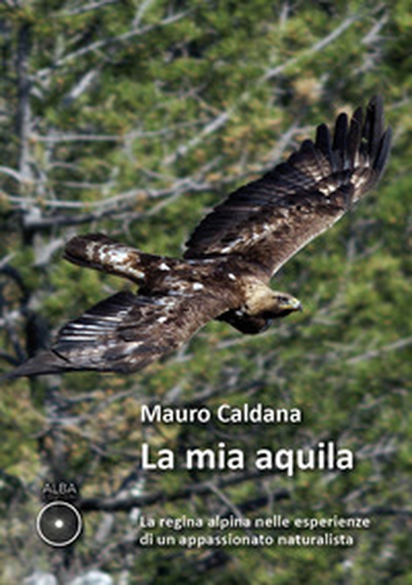 La mia aquila. La regina alpina nelle esperienze di un appassionato naturalista - Librerie.coop La mia aquila. La regina alpina nelle esperienze di un appassionato naturalista - Librerie.coop