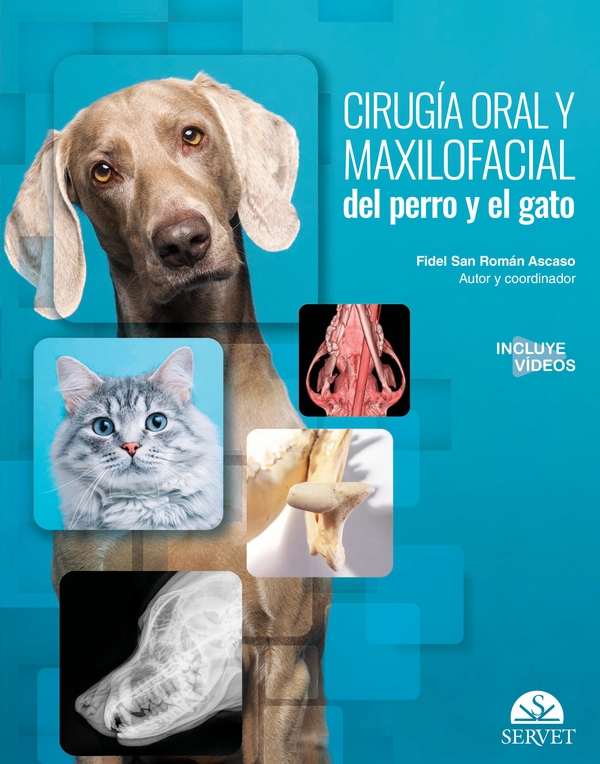Cirugía oral y maxilofacial del perro y el gato - Librerie.coop Cirugía oral y maxilofacial del perro y el gato - Librerie.coop