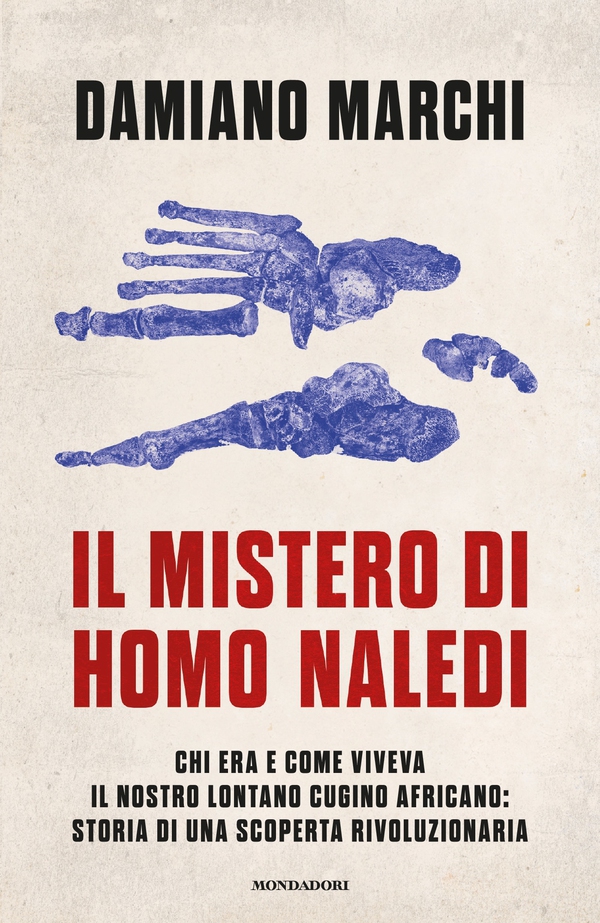 Il mistero di Homo naledi - Librerie.coop Il mistero di Homo naledi - Librerie.coop