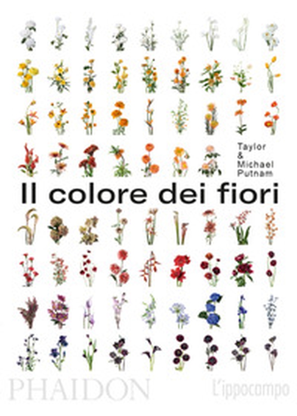 Il colore dei fiori - Librerie.coop Il colore dei fiori - Librerie.coop