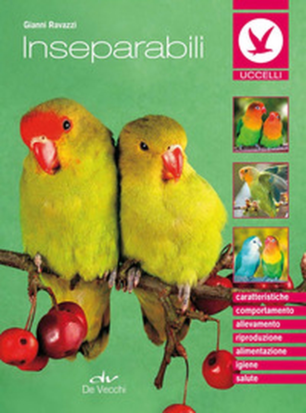 Gli inseparabili - Librerie.coop Gli inseparabili - Librerie.coop