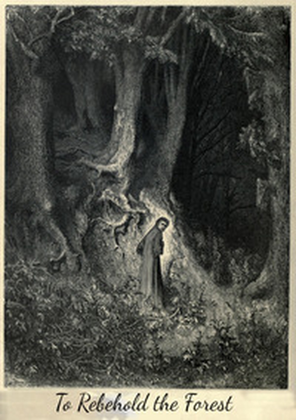 To rebehold the forest. A post-eschatological apocalypse RPG - Librerie.coop To rebehold the forest. A post-eschatological apocalypse RPG - Librerie.coop