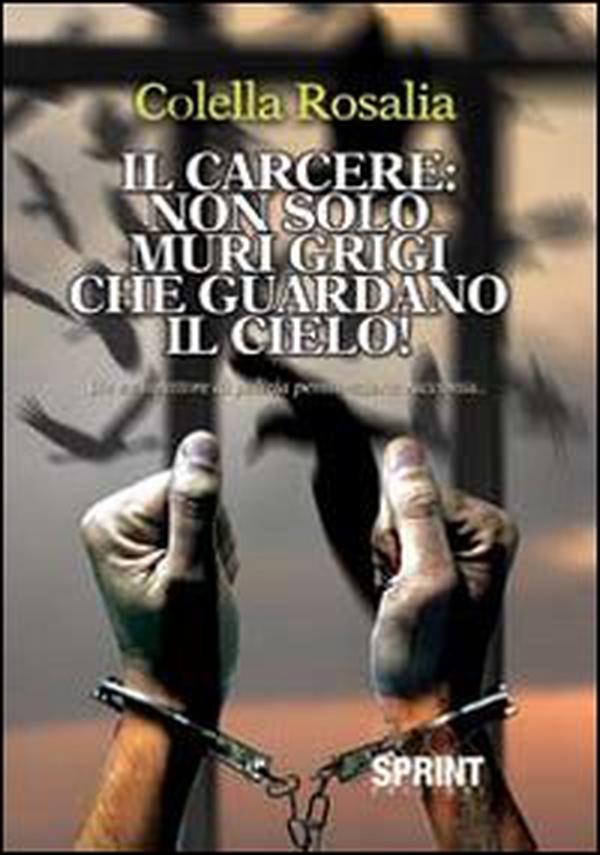 Il carcere. Non solo muri grigi che guardano il cielo. Un ex ispettore di polizia penitenziaria racconta - Librerie.coop Il carcere. Non solo muri grigi che guardano il cielo. Un ex ispettore di polizia penitenziaria racconta - Librerie.coop