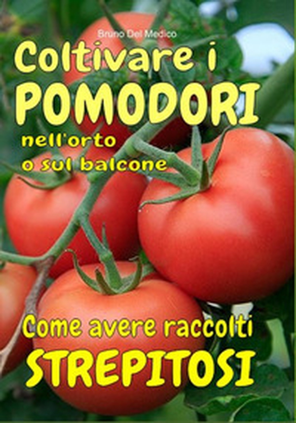 Coltivare i pomodori nell'orto. Come avere raccolti strepitosi. Dalla semina alla raccolta. Varietà, cure colturali, malattie, parassiti, concimazione, potatura. - Librerie.coop Coltivare i pomodori nell'orto. Come avere raccolti strepitosi. Dalla semina alla raccolta. Varietà, cure colturali, malattie, parassiti, concimazione, potatura. - Librerie.coop