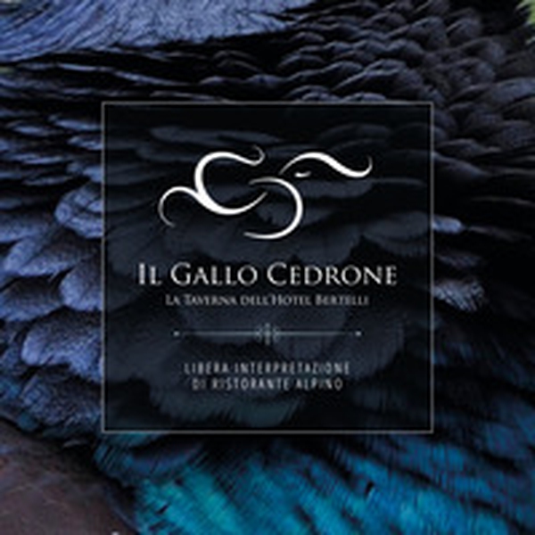 Il Gallo Cedrone, la taverna dell'hotel Bertelli. Libera interpretazione di ristorante alpino - Librerie.coop Il Gallo Cedrone, la taverna dell'hotel Bertelli. Libera interpretazione di ristorante alpino - Librerie.coop