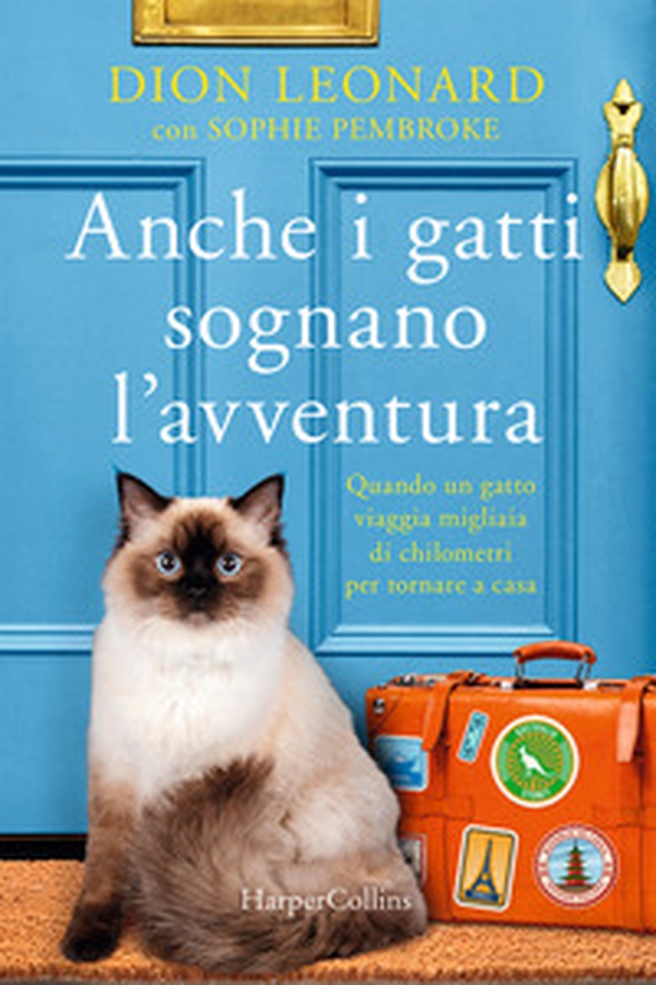 Anche i gatti sognano l'avventura - Librerie.coop Anche i gatti sognano l'avventura - Librerie.coop