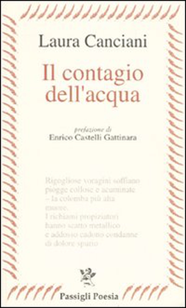Il contagio dell'acqua - Librerie.coop Il contagio dell'acqua - Librerie.coop