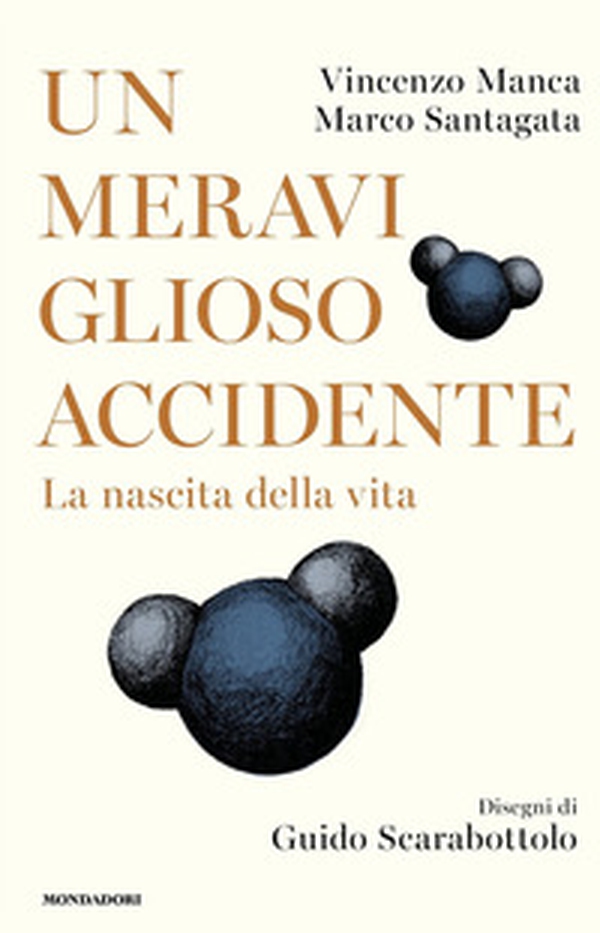 Un meraviglioso accidente. La nascita della vita - Librerie.coop Un meraviglioso accidente. La nascita della vita - Librerie.coop