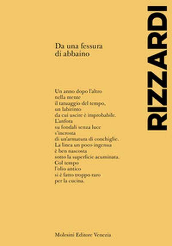 Da una fessura di abbaino - Librerie.coop Da una fessura di abbaino - Librerie.coop