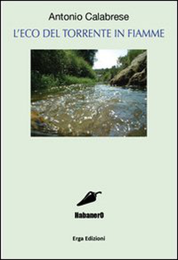 L'eco del torrente in fiamme - Librerie.coop L'eco del torrente in fiamme - Librerie.coop