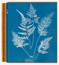 Anna Atkins. Cyanotypes. Ediz. inglese, francese e tedesca - Librerie.coop