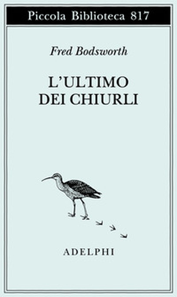 L'ultimo dei chiurli - Librerie.coop L'ultimo dei chiurli - Librerie.coop