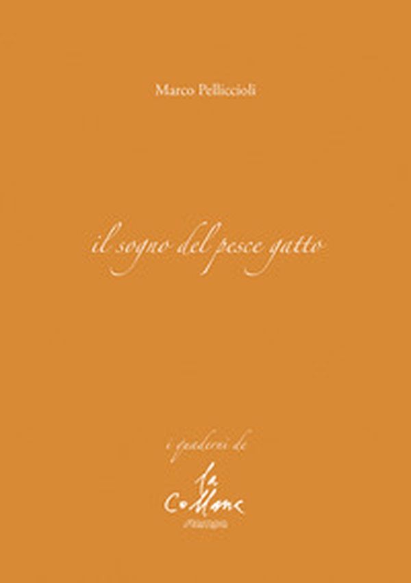Il sogno del pesce gatto - Librerie.coop Il sogno del pesce gatto - Librerie.coop