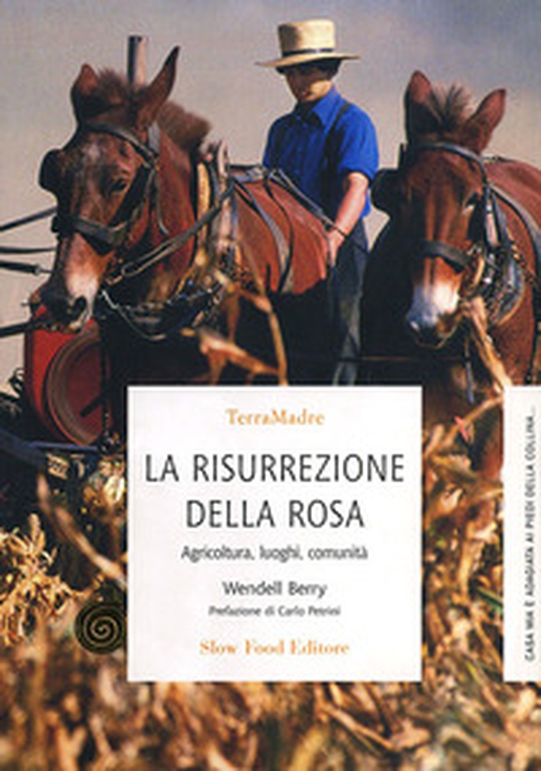 La risurrezione della rosa. Agricoltura, luoghi, comunità - Librerie.coop La risurrezione della rosa. Agricoltura, luoghi, comunità - Librerie.coop