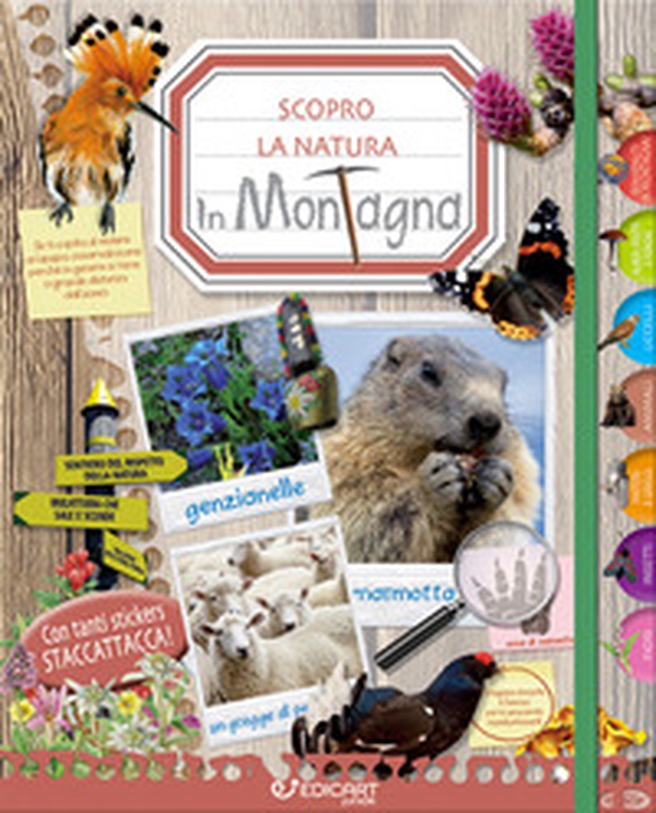 In montagna. Scopro la natura. Con adesivi - Librerie.coop In montagna. Scopro la natura. Con adesivi - Librerie.coop