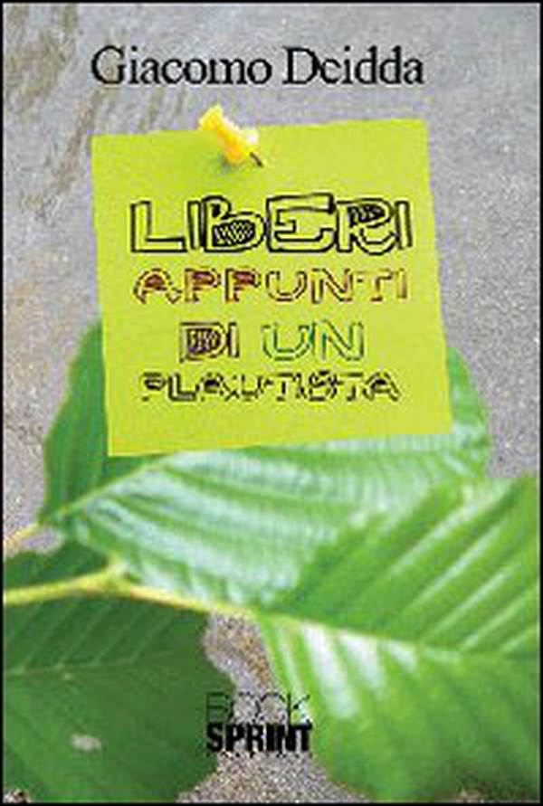 Liberi appunti di un flautista - Librerie.coop Liberi appunti di un flautista - Librerie.coop