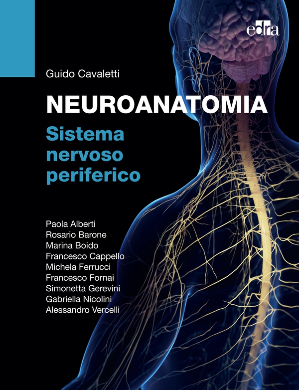 NEUROANATOMIA Sistema nervoso periferico - Librerie.coop NEUROANATOMIA Sistema nervoso periferico - Librerie.coop