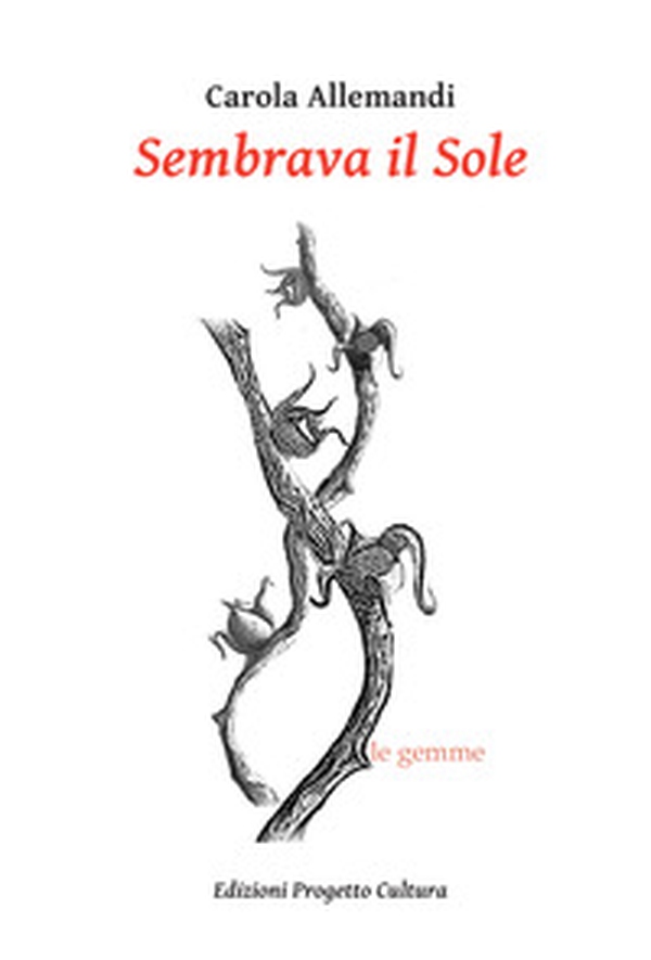 Sembrava il Sole - Librerie.coop Sembrava il Sole - Librerie.coop