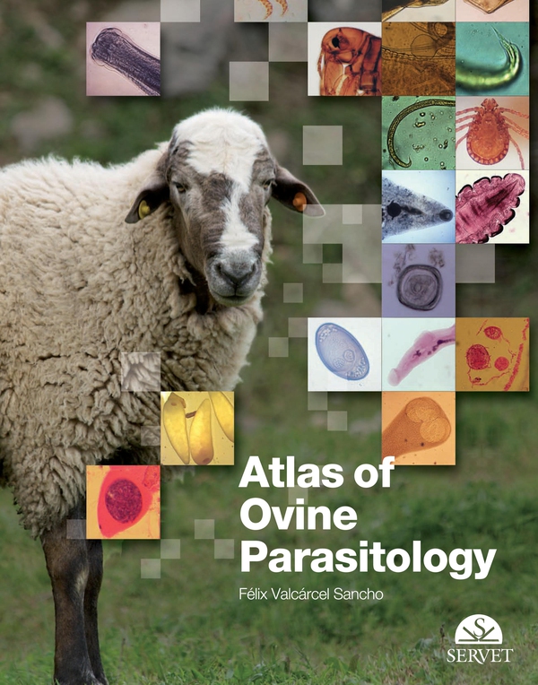 Atlas of ovine parasitology - Librerie.coop Atlas of ovine parasitology - Librerie.coop