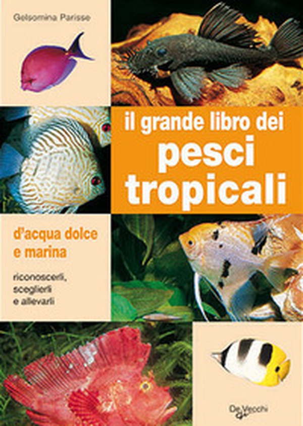 Il grande libro dei pesci tropicali. D'acqua dolce e marina - Librerie.coop Il grande libro dei pesci tropicali. D'acqua dolce e marina - Librerie.coop