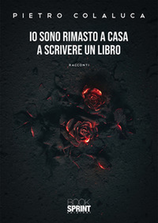 Io sono rimasto a casa a scrivere un libro - Librerie.coop Io sono rimasto a casa a scrivere un libro - Librerie.coop