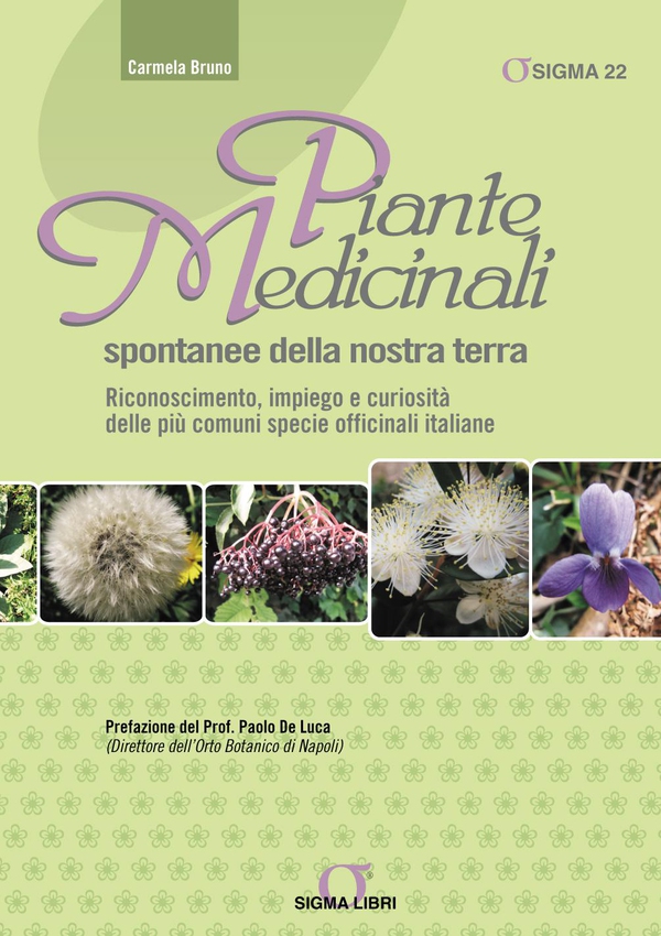 Piante Medicinali spontanee della nostra terra - Librerie.coop Piante Medicinali spontanee della nostra terra - Librerie.coop