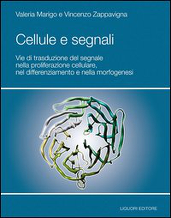 Cellule e segnali. Vie di trasduzione del segnale nella proliferazione cellulare e nella morfogenesi - Librerie.coop Cellule e segnali. Vie di trasduzione del segnale nella proliferazione cellulare e nella morfogenesi - Librerie.coop