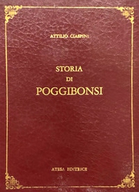 Storia di Poggibonsi. Notizie diverse cronologicamente disposte per servire alla Storia di Poggibonsi. (rist. anast. Siena, 1850) - Librerie.coop