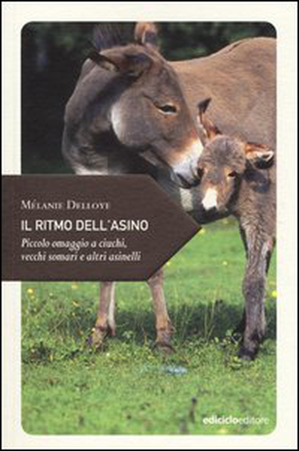 Il ritmo dell'asino. Piccolo omaggio a ciuchi, vecchi somari e altri asinelli - Librerie.coop Il ritmo dell'asino. Piccolo omaggio a ciuchi, vecchi somari e altri asinelli - Librerie.coop