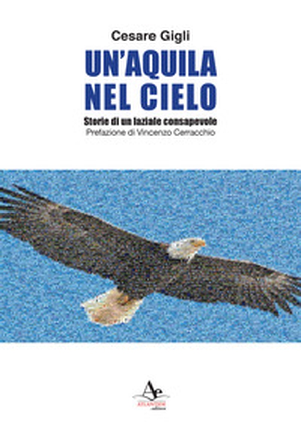 Un'aquila nel cielo. Storie di un laziale consapevole - Librerie.coop Un'aquila nel cielo. Storie di un laziale consapevole - Librerie.coop
