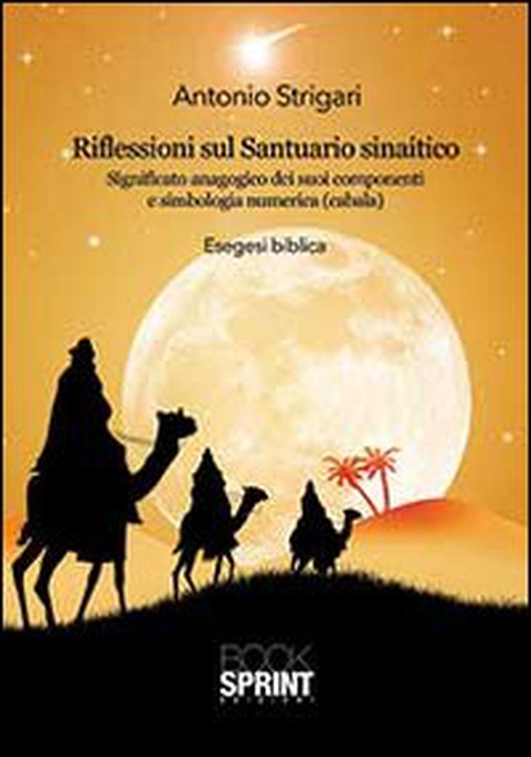 Riflessioni sul santuario sinaitico. Significato anagogico dei suoi componenti e simbologia numerica (cabala) - Librerie.coop Riflessioni sul santuario sinaitico. Significato anagogico dei suoi componenti e simbologia numerica (cabala) - Librerie.coop