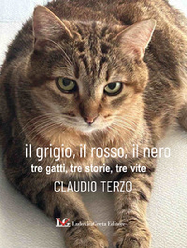 Il grigio, il rosso, il nero. Tre gatti, tre storie, tre vite - Librerie.coop Il grigio, il rosso, il nero. Tre gatti, tre storie, tre vite - Librerie.coop