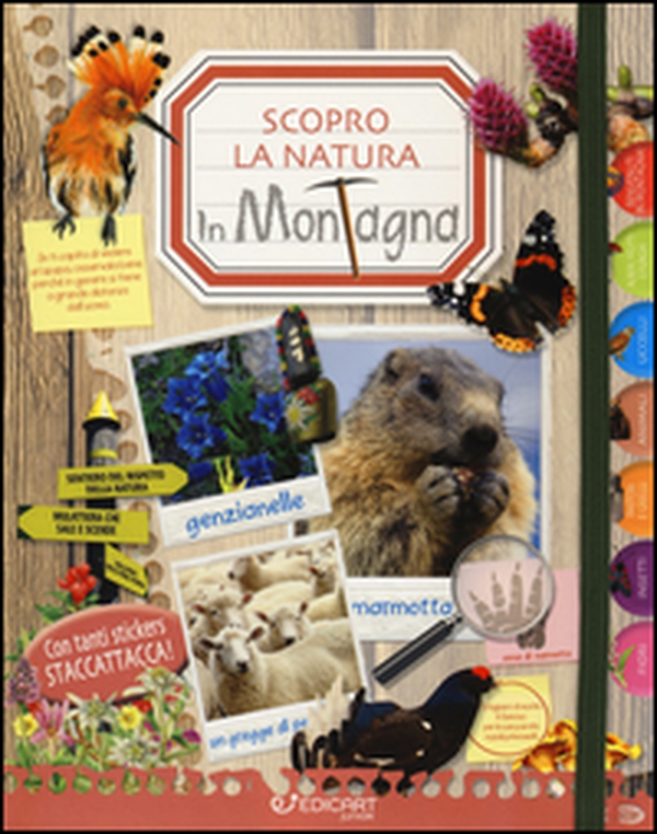 In montagna. Scopro la natura. Con adesivi - Librerie.coop In montagna. Scopro la natura. Con adesivi - Librerie.coop