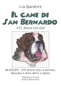 Il cane di San Bernardo XVI. Storie 211-224, da km 800, 279 storie reali e surreali, delicate e dure, dolci e amare - Librerie.coop