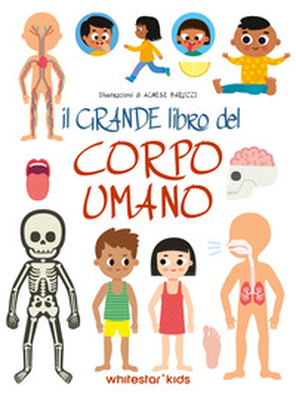 Il grande libro del corpo umano - Librerie.coop Il grande libro del corpo umano - Librerie.coop