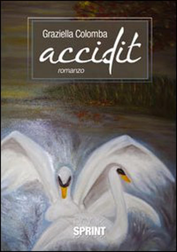 Accidit - Librerie.coop Accidit - Librerie.coop